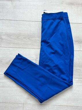 Zara Bright Royal Blue pants
